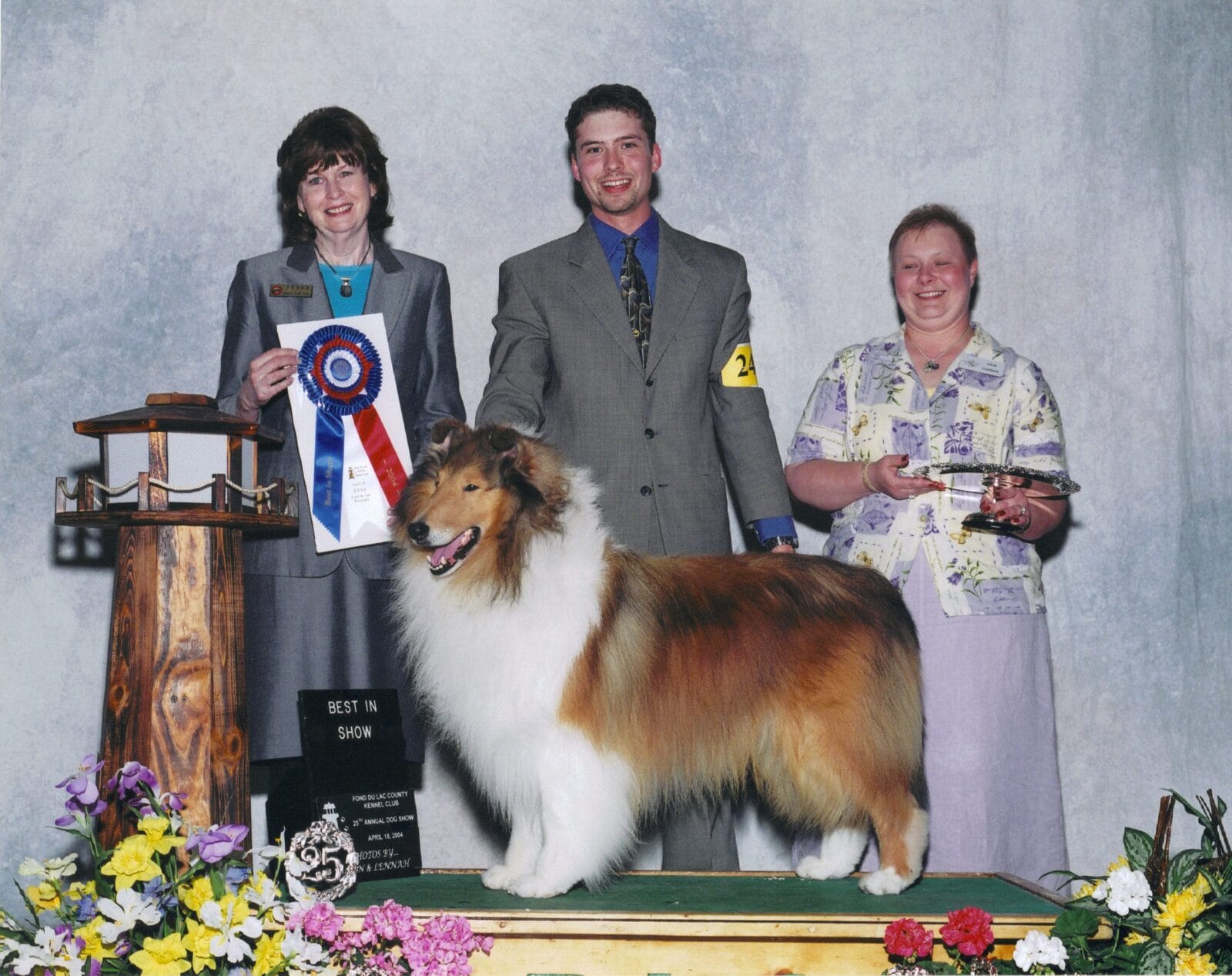 best-in-show-collie_twin-city-secret-ambition