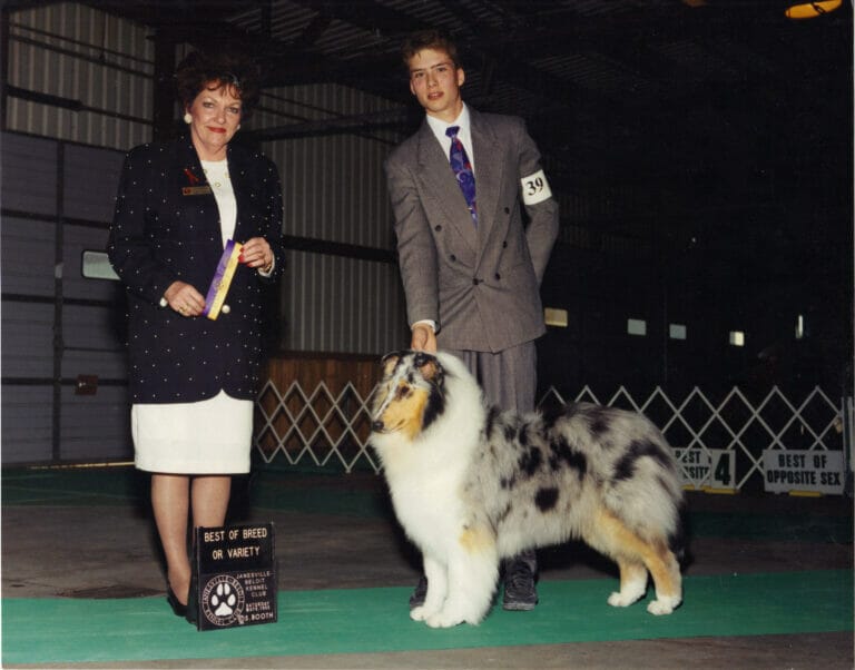 blue-merle-collie_wyndlair-secret-showcase