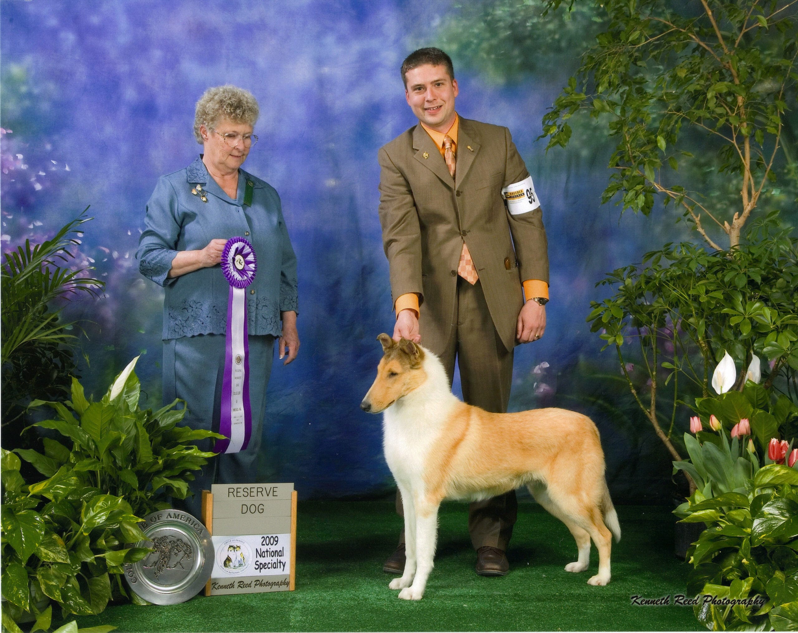 Ch. Classique Wyndlair Alliance | Wyndlair Collies