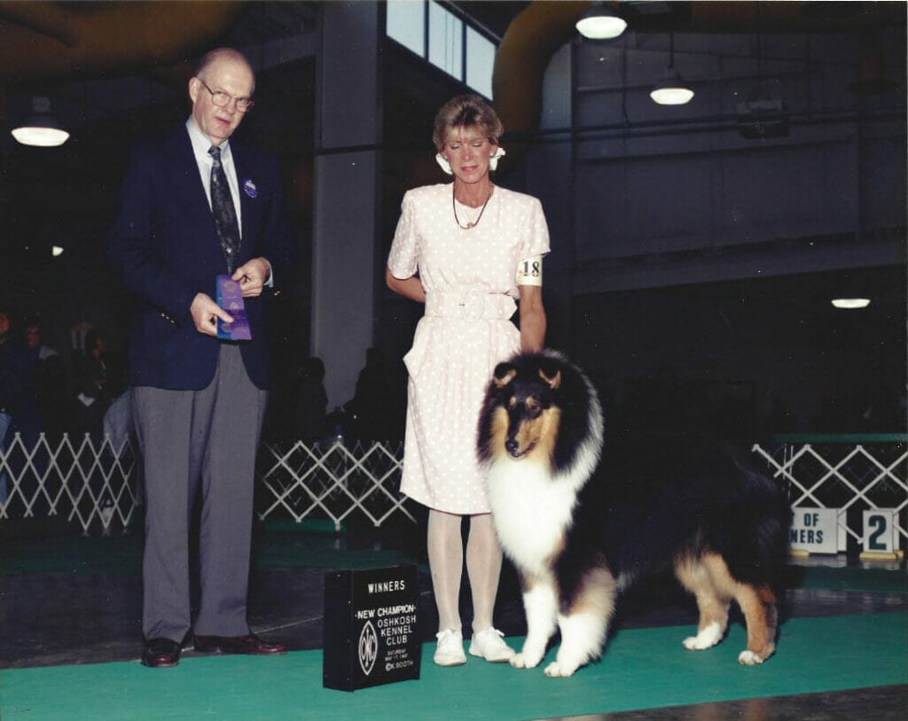 Tri-Color Collie Puppy - Ch. Highcroft Wyndlair Patriot