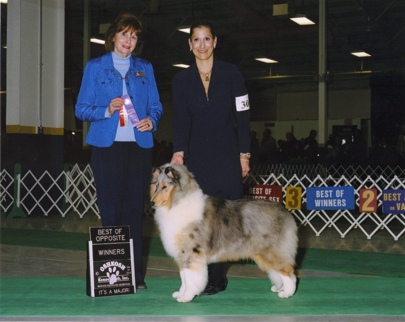 blue-merle-collie_wyndlair-rachel-alexandra_wisconsin