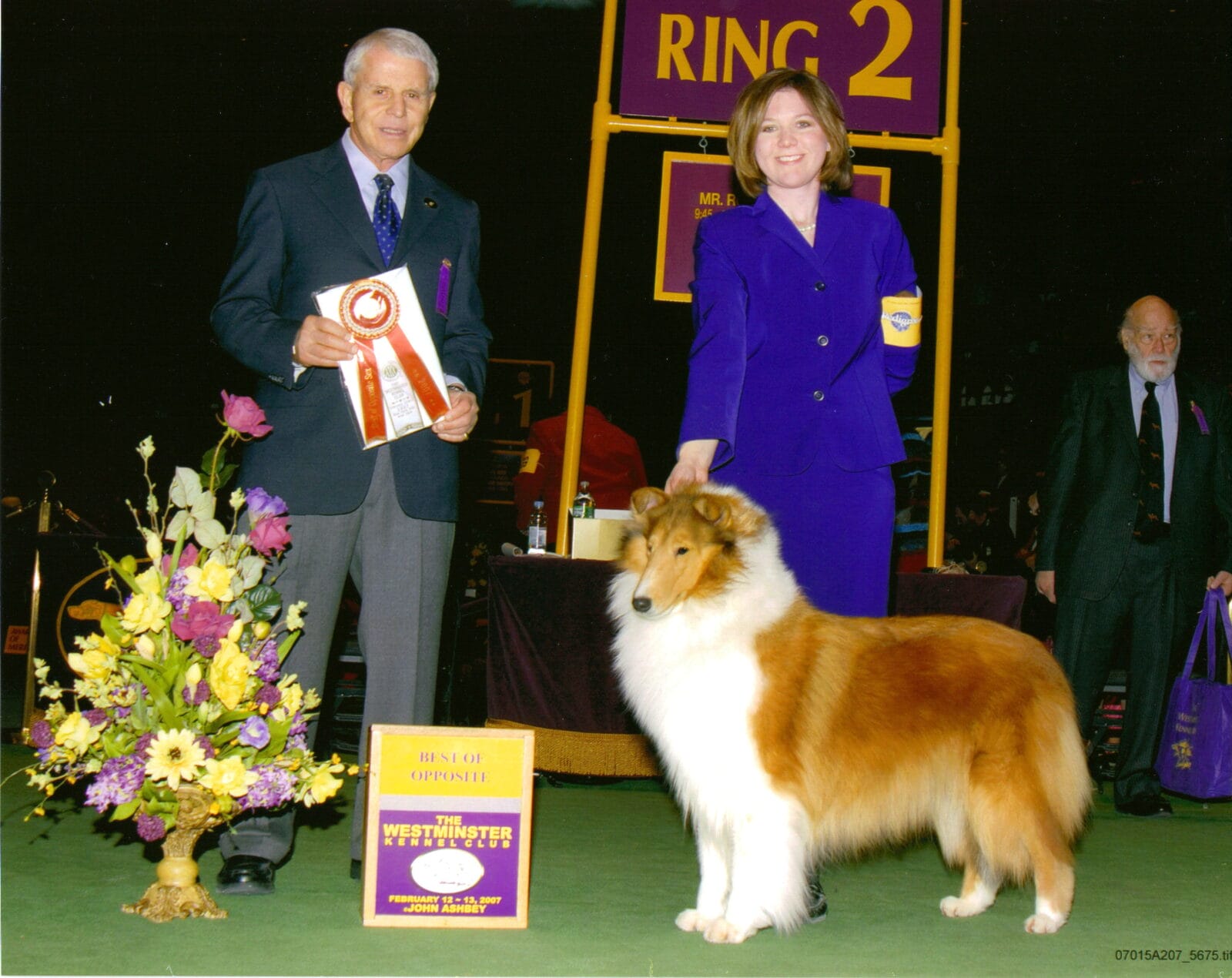 sable-rough-collie_wyndlair-island-vacation_westminster_new-york