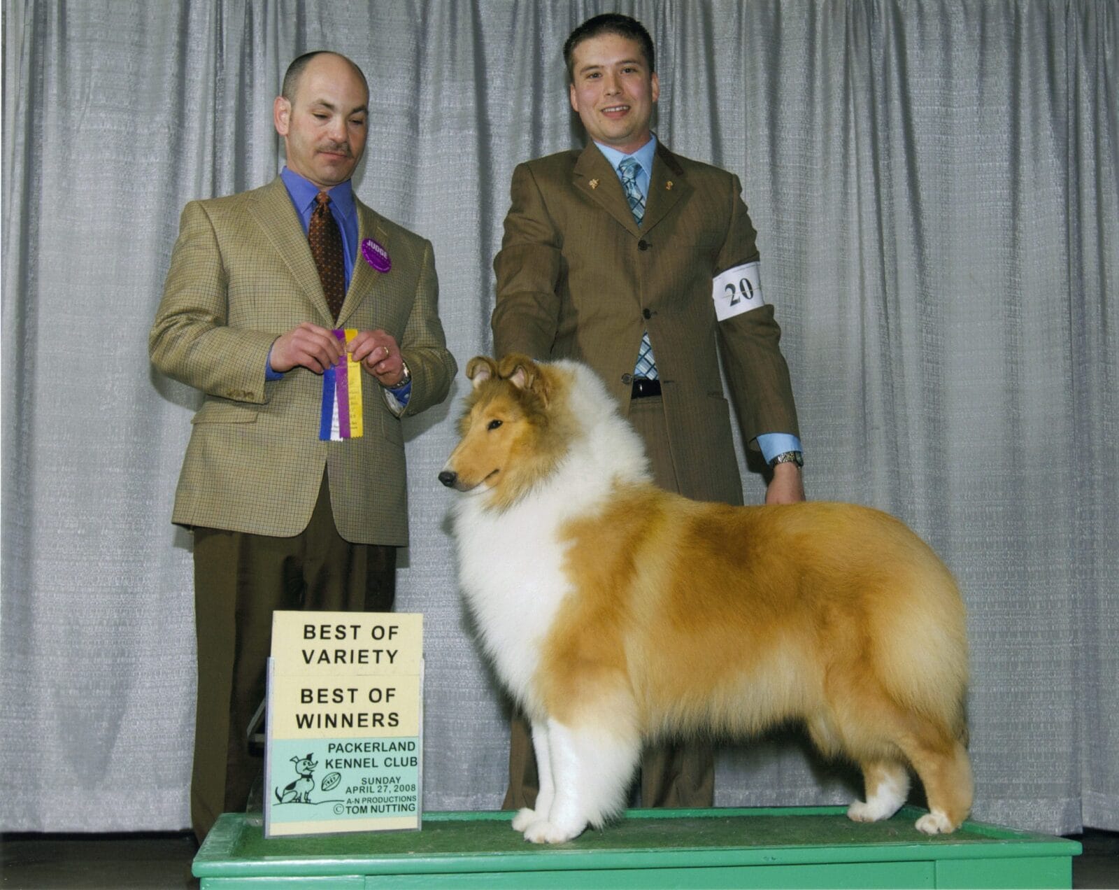 sable-rough-collie_wyndlair-madison-avenue_best-of-variety_butch-schulman