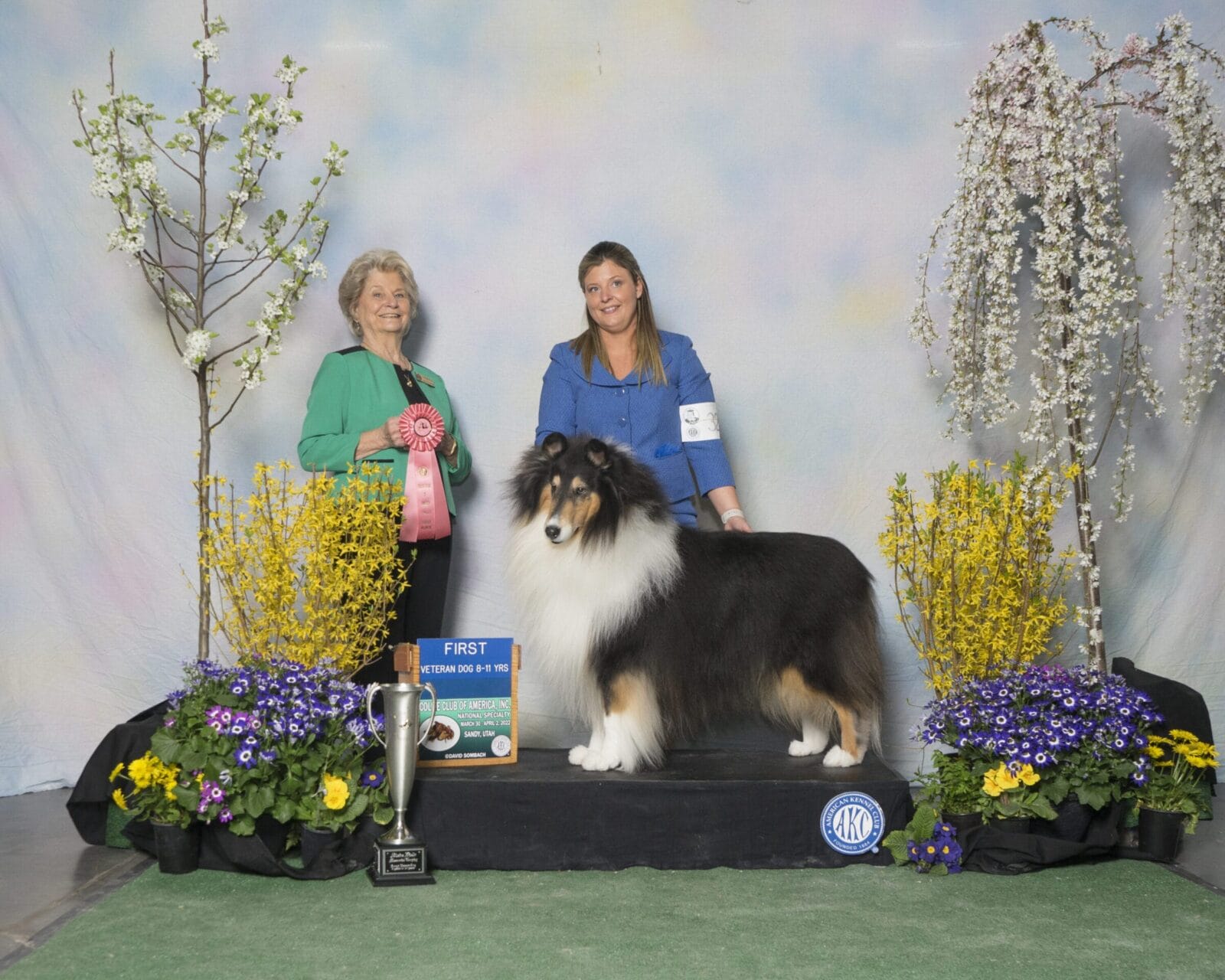 Ch. Wyndlair Cherokee Exclamation - Rough Collie Illinois