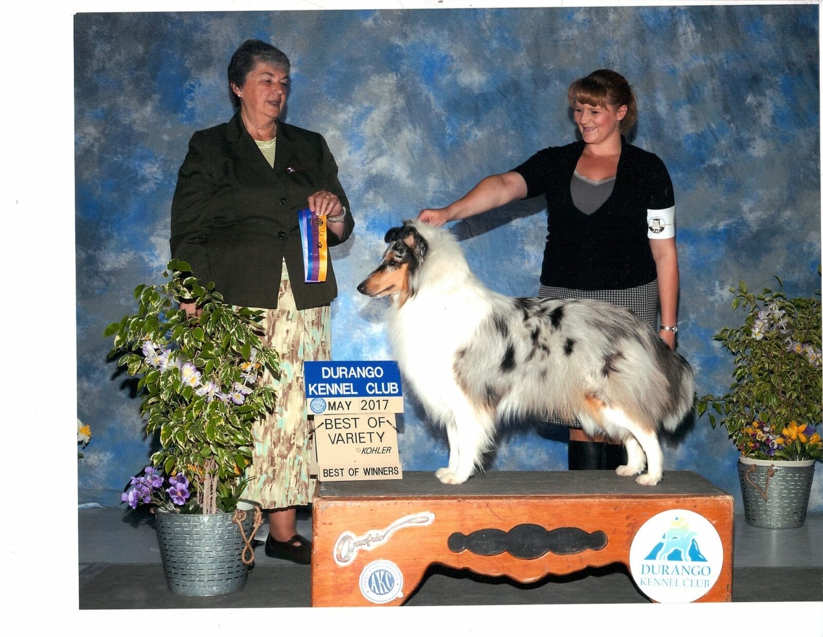 Ch. Wyndlair Lazurite Zola's Mystical Luminance - best of variety