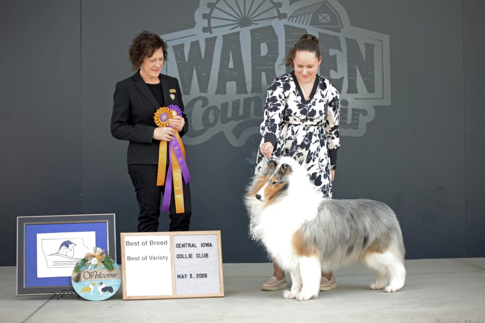 Wyndlair Titanium - Central Iowa Collie Club - Judge Laura Weiss-Castlebar Collies