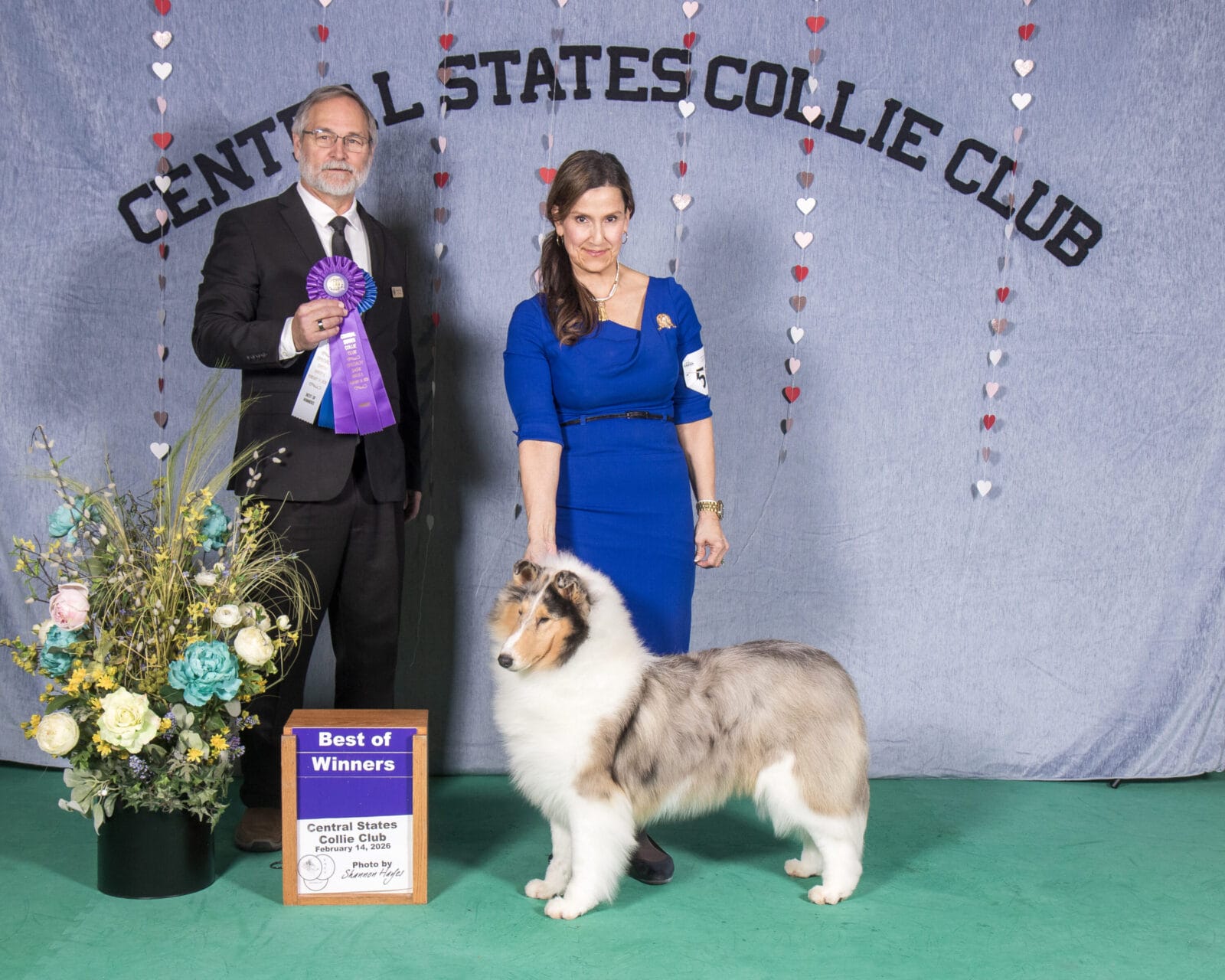 Ch. Wyndlair Anthems Reign - Central States Collies Club - Juell Collies Collies