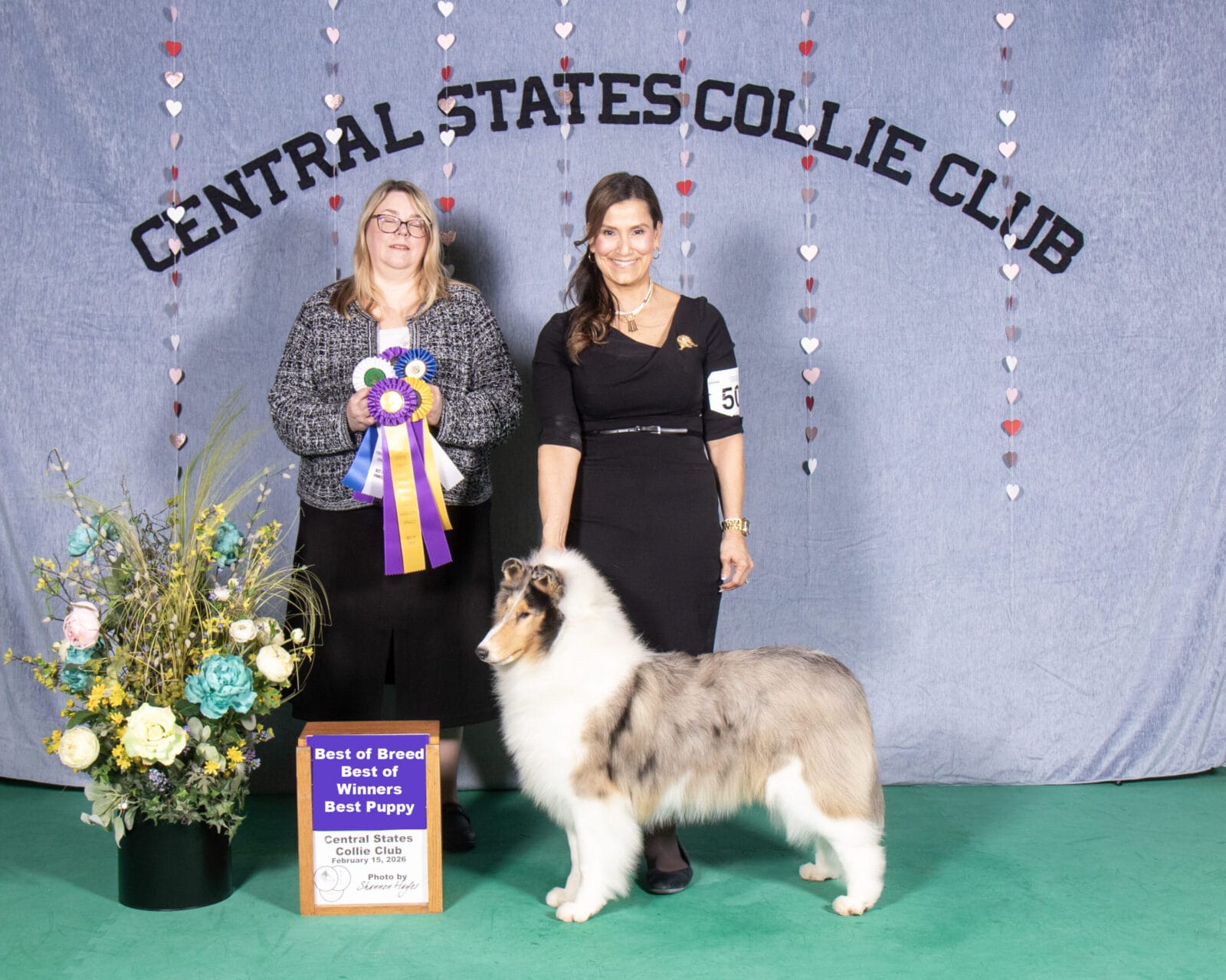 Ch. Wyndlair Anthems Reign - Central States Collies Club - Maverick Collies